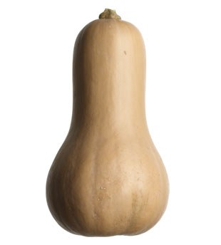 Butternut Squash