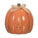 Light-Up Carved Vine Pumpkin - Does not light up
